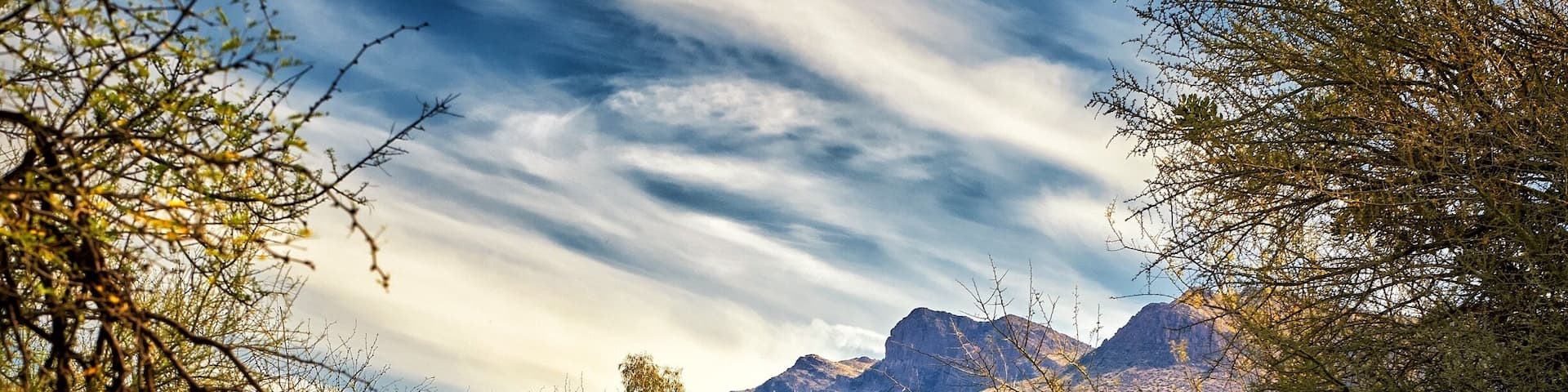 Sunrise at Boyce Arboretum.