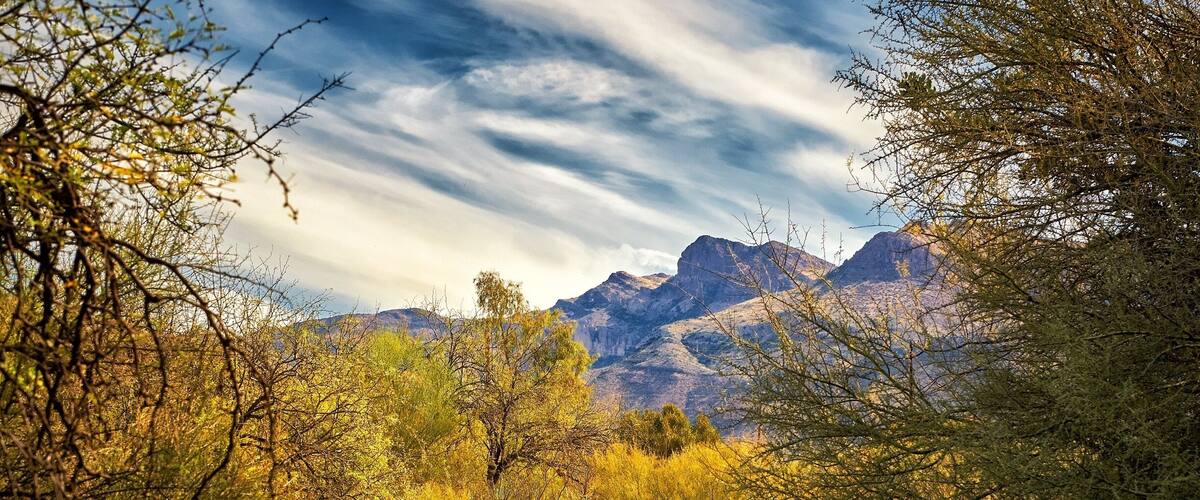 Sunrise at Boyce Arboretum.