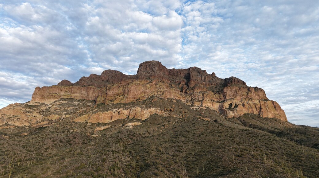 ซูพีเรีย