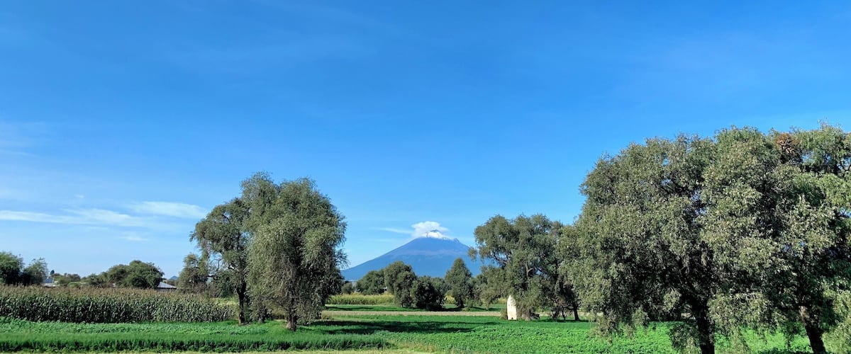A rural landscape with a clear blue sky, green fields, and a mountain in the distance.