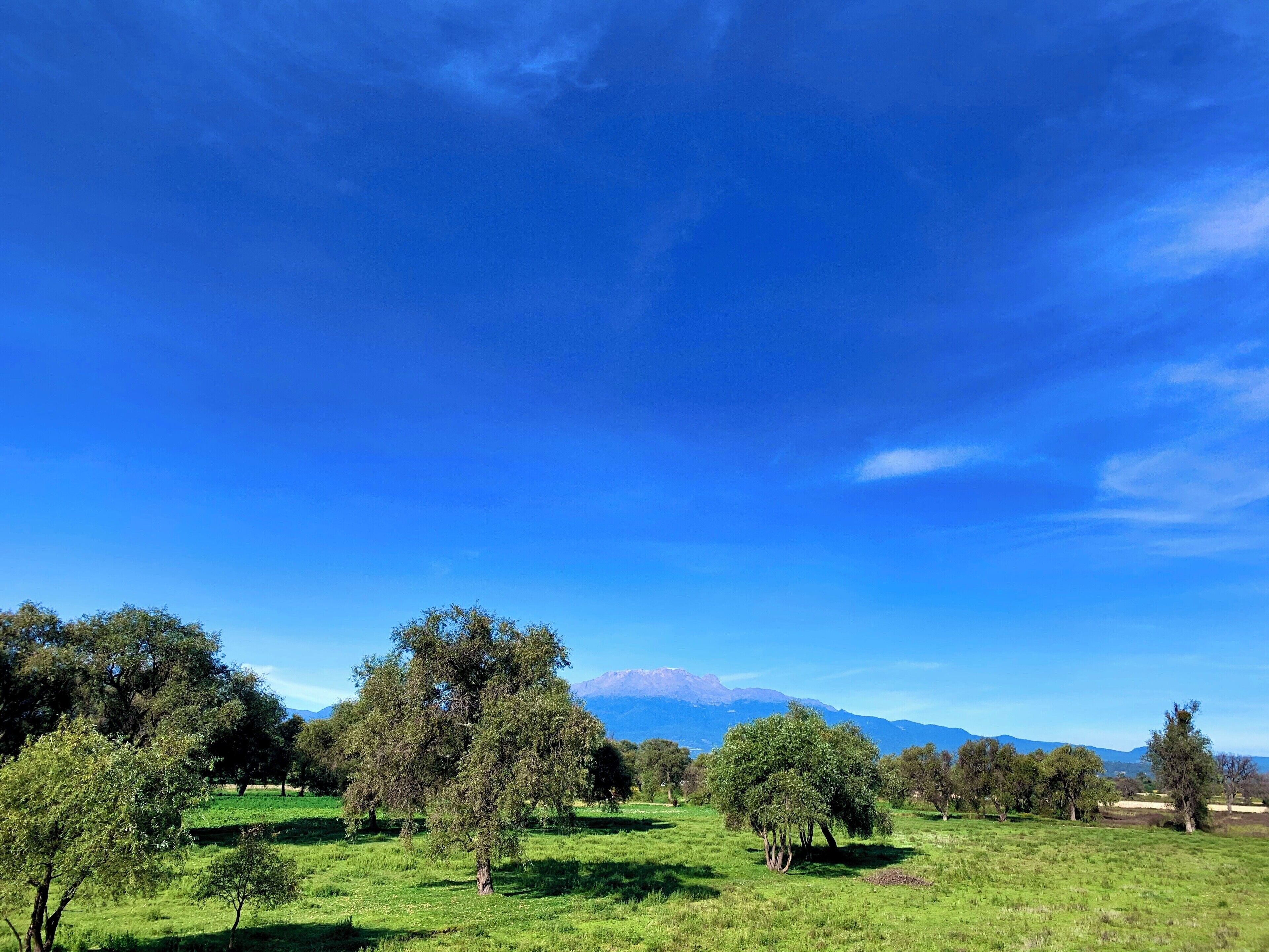 And here’s Iztaccihuatl, leyend has it, Iztaccihuatl is Popocatepetl’s long lost love which is the reason why the volcano is still actively taking care of his love. The name means sleeping lady.