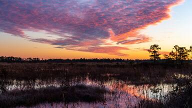 Wetlands Morning with Mackerel Sky