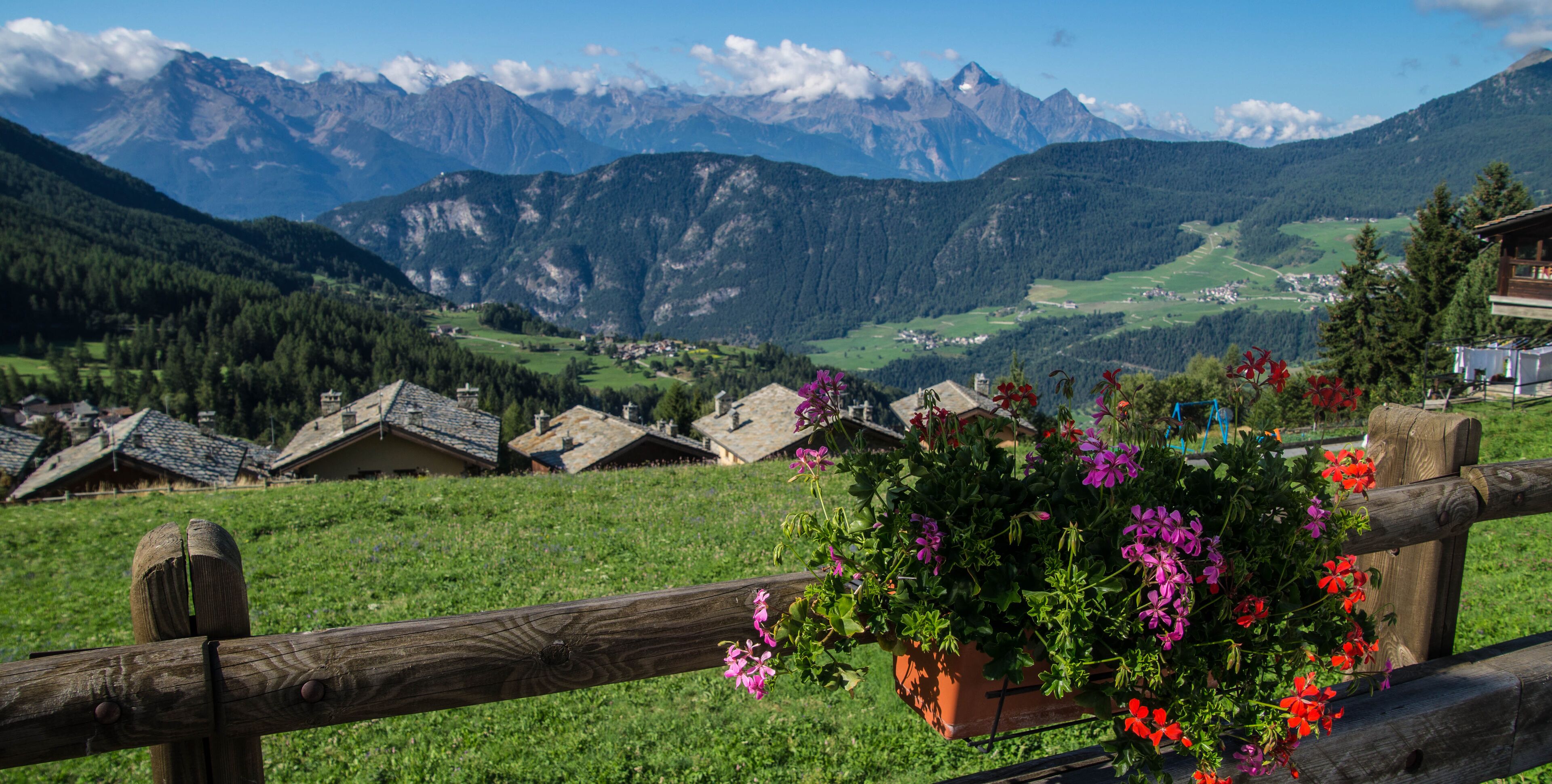 A wooden fence with a hanging flower pot, a green field, and a mountain range in the background.