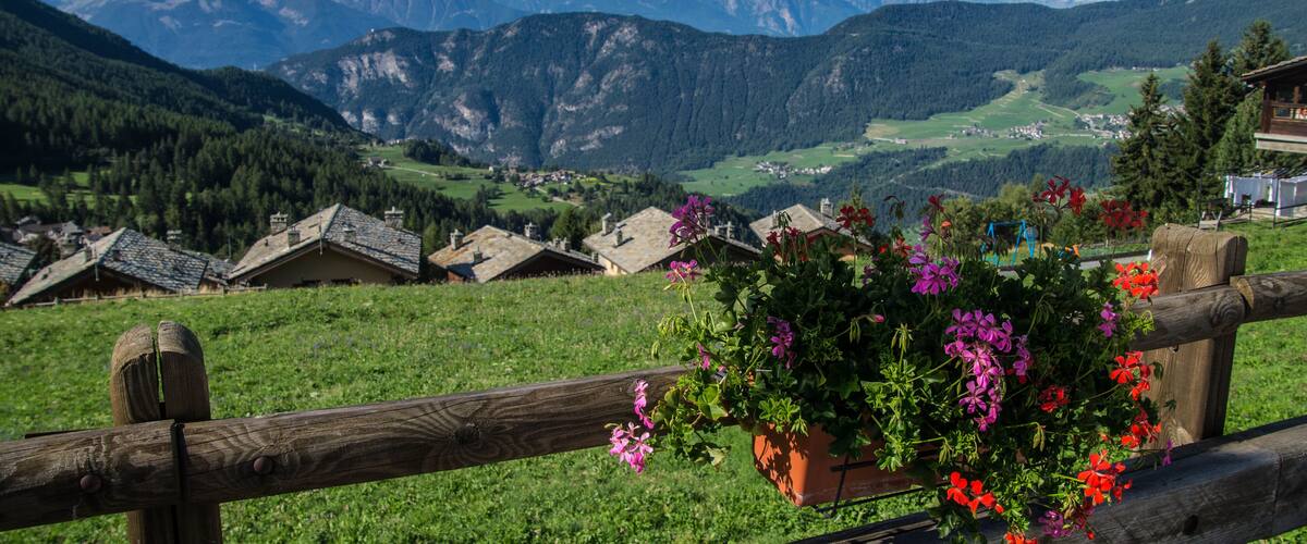 A wooden fence with a hanging flower pot, a green field, and a mountain range in the background.