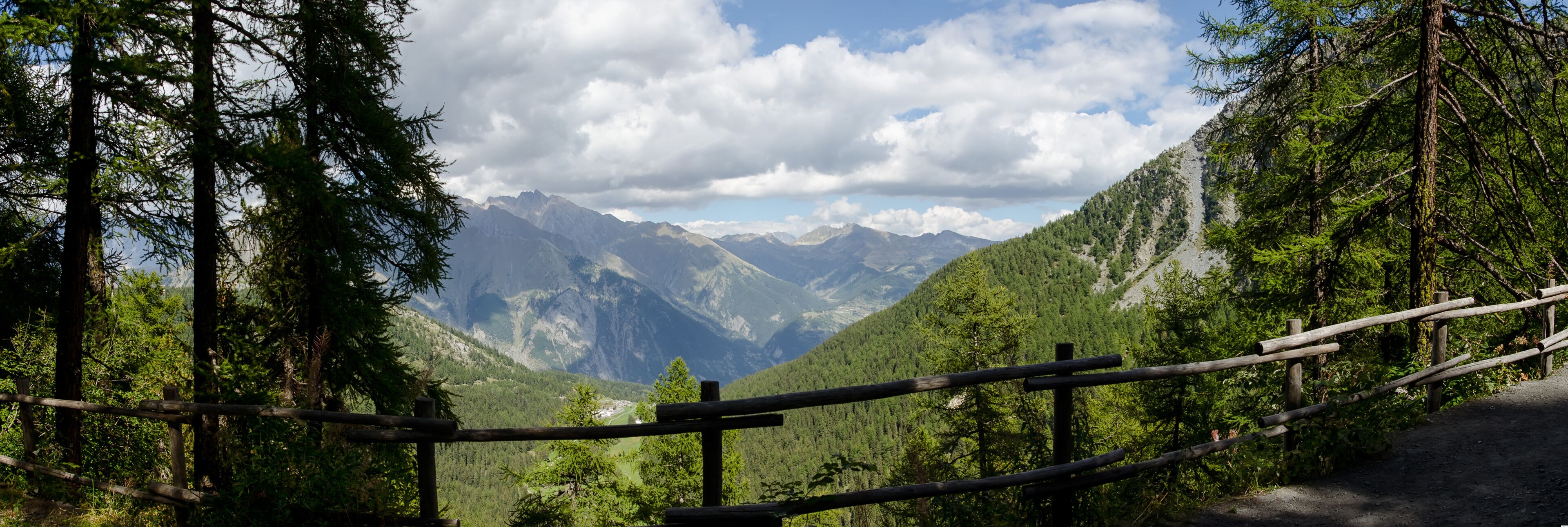A forested mountain landscape with a wooden fence and a clear view of distant mountains.