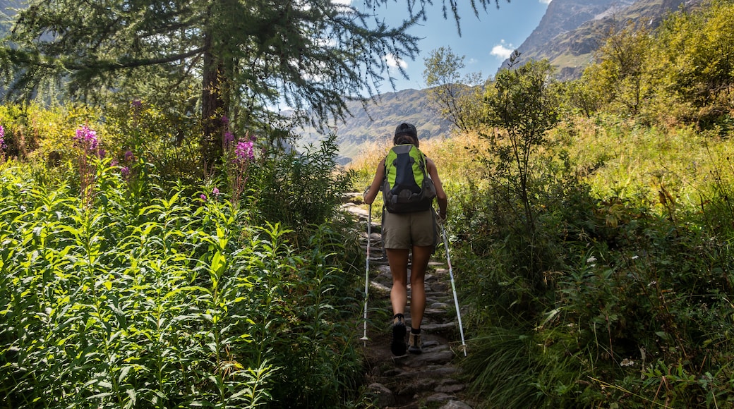 Walking in Rhemes-Notre-Dame mountain municipality located in the upper Rhemes valley, Aosta Valley, Italy