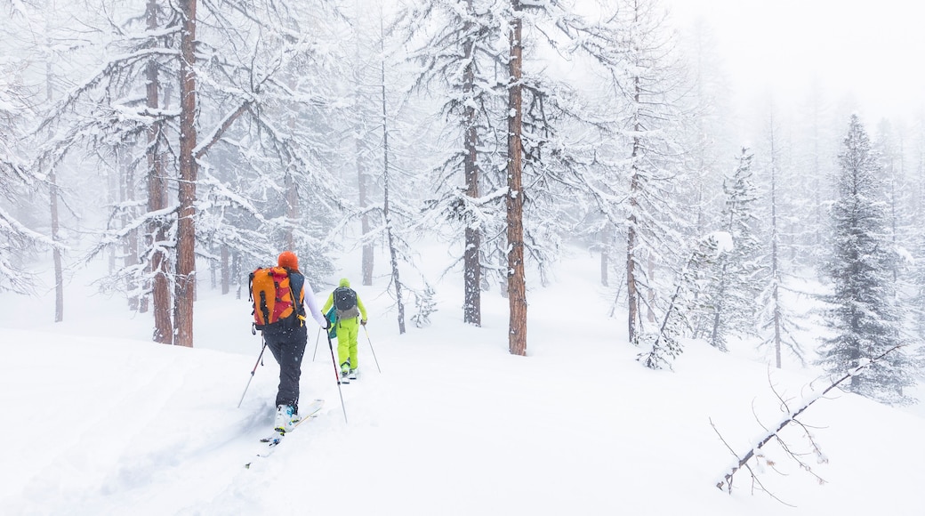 Ski touring in Aosta Valley (Rhemes-Notre-Dame, Rhemes Valley, Aosta province, Aosta Valley, Italy, Europe)
