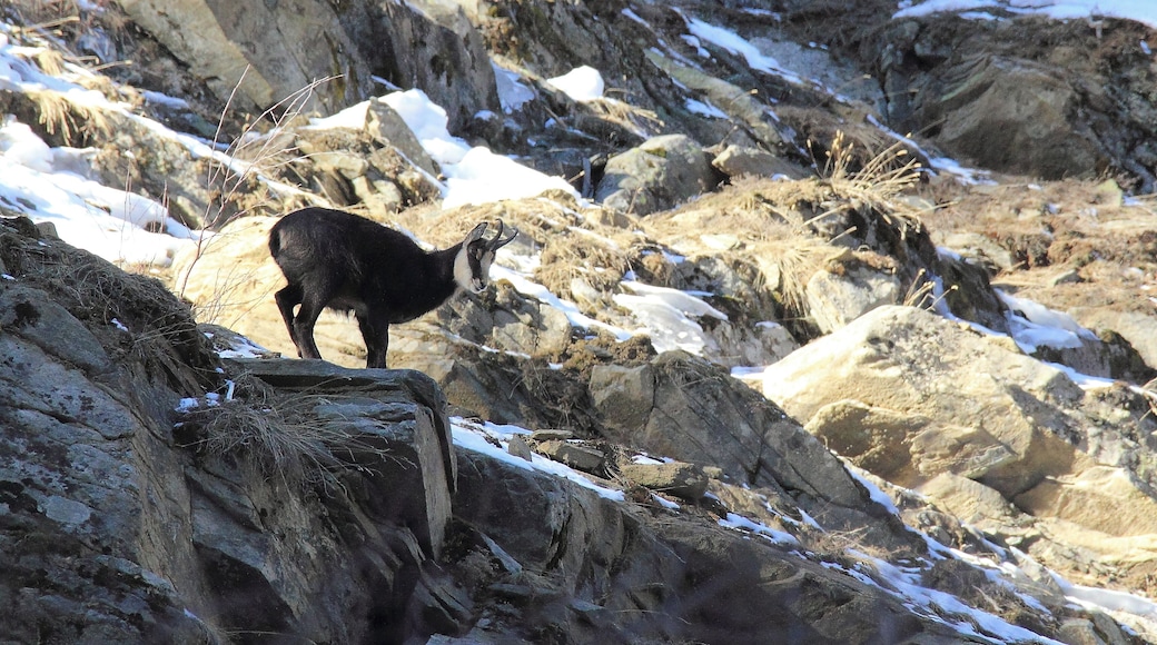 ...in a rather cold day.