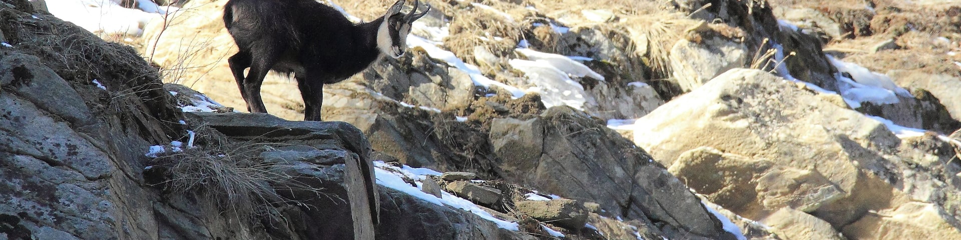 ...in a rather cold day.