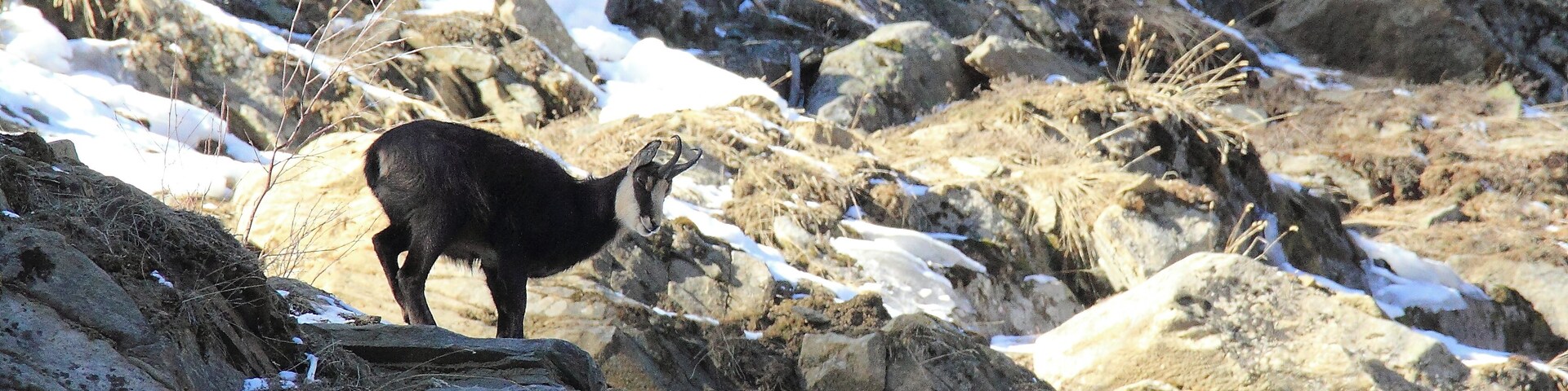 ...in a rather cold day.