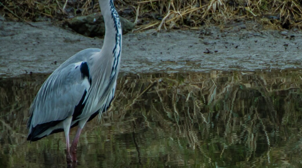 Riserva naturale Les Îles (Q15639833)