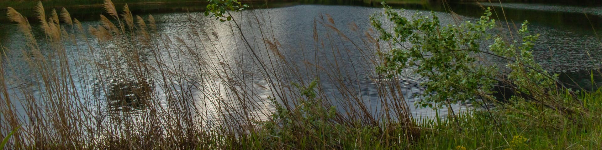 Riserva naturale Les Îles (Q15639833)