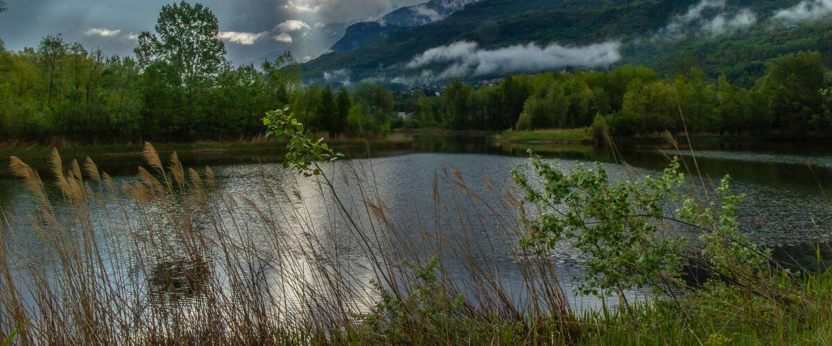 A lake surrounded by greenery and mountains under a cloudy sky.