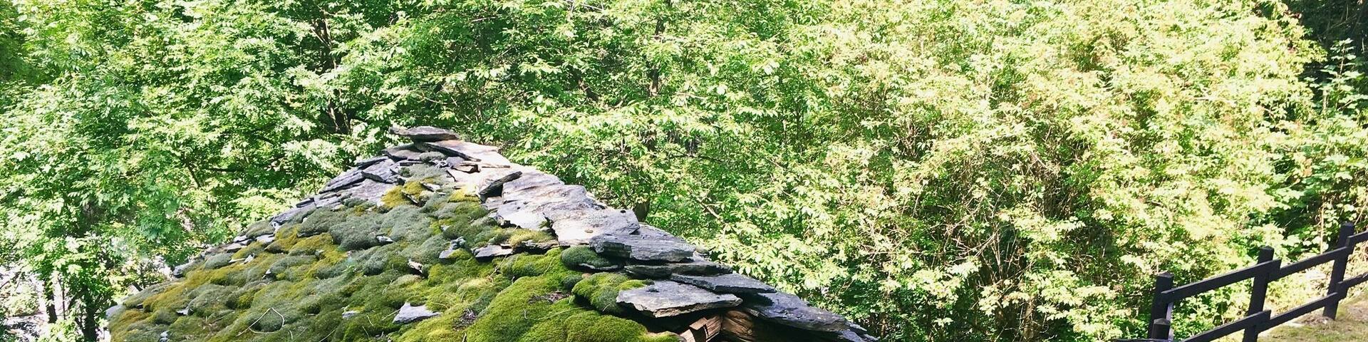 #TakeAHike #alps #trekking #valled'aosta #italy #alps #green #musk