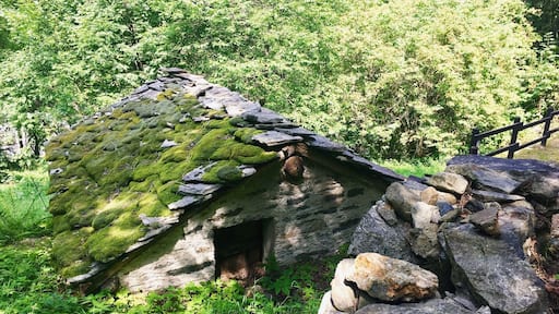 #TakeAHike #alps #trekking #valled'aosta #italy #alps #green #musk