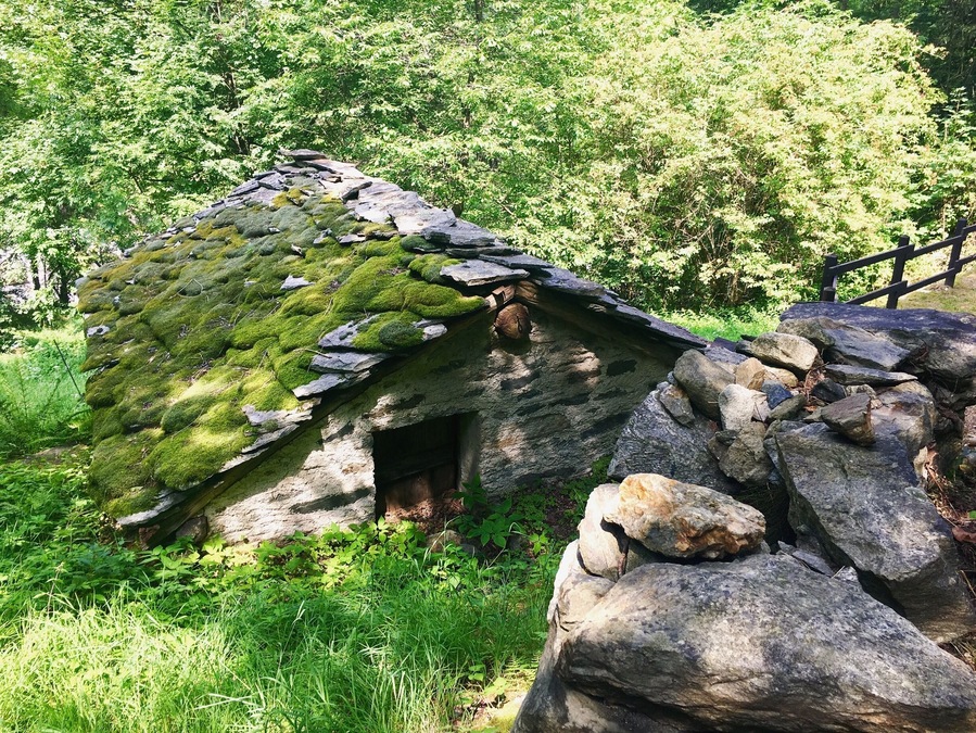 #TakeAHike #alps #trekking #valled'aosta #italy #alps #green #musk