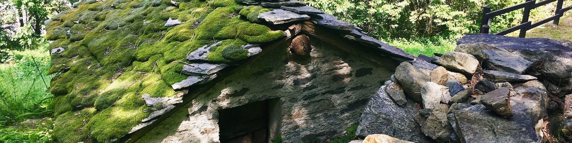 #TakeAHike #alps #trekking #valled'aosta #italy #alps #green #musk