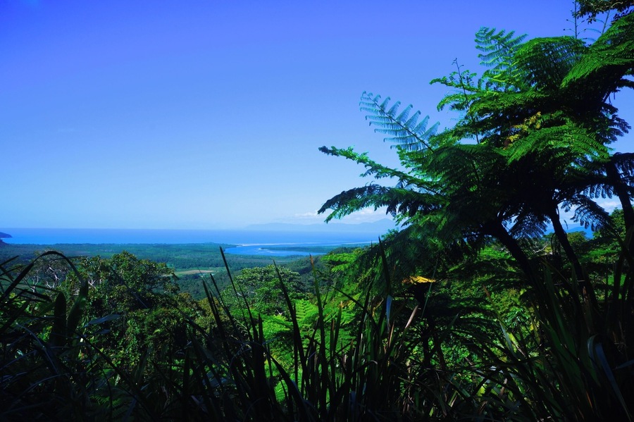 A trip to the Daintree wouldn't be complete without stopping off at the Alexandra Lookout. On a clear day you can see not only Low isles and Snapper island but all the way down to Cairns and Cape Grafton!
www.cheskiesgaplife.com
#colorful