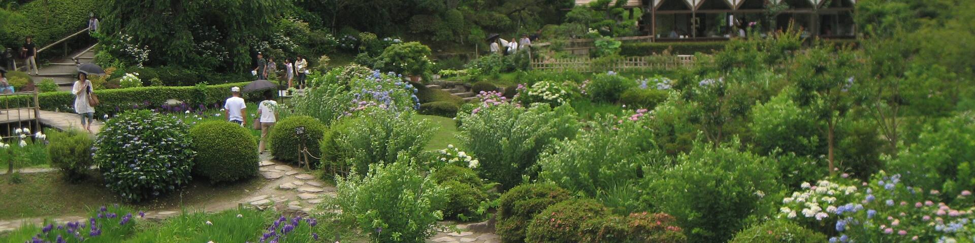 Hananosato-Takidani Japanese Iris Garden, Date taken(YYYY-MM-DD): 2010-06-27 Place taken: Hananosato-Takidani, Murō, Uda, Nara, Japan.