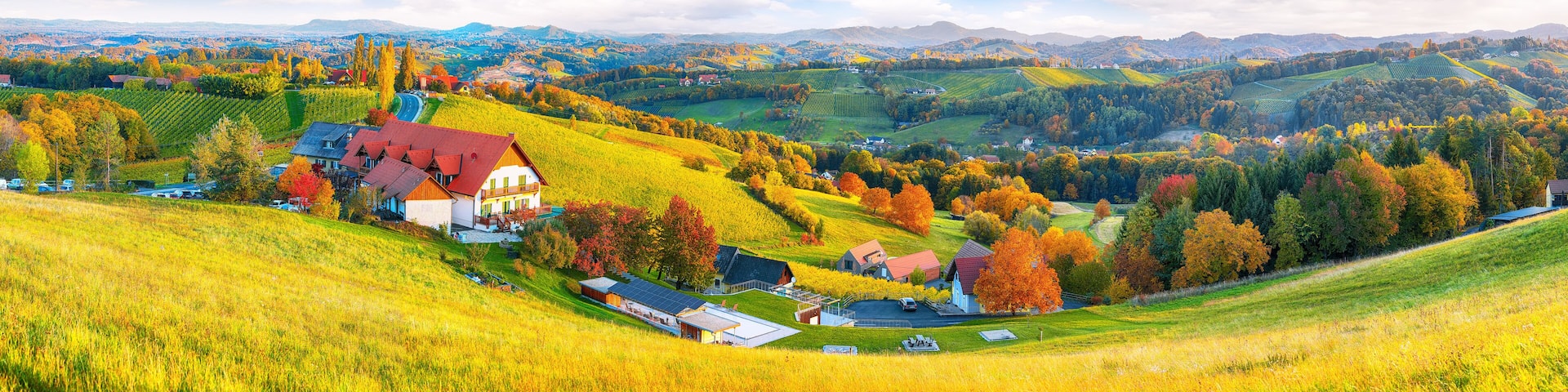 Breathtaking vineyards landscape in South Styria near Gamlitz.