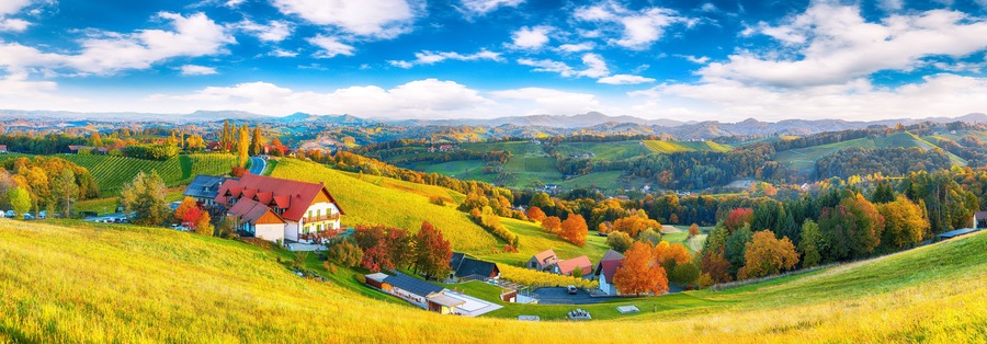Breathtaking vineyards landscape in South Styria near Gamlitz.
