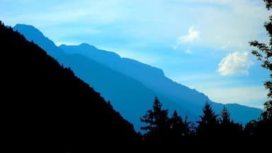 #BVSBlue
While driving in the Motorway to Germany from Salzburg. The Alps gave a series of profile shadows to different hues of blues.