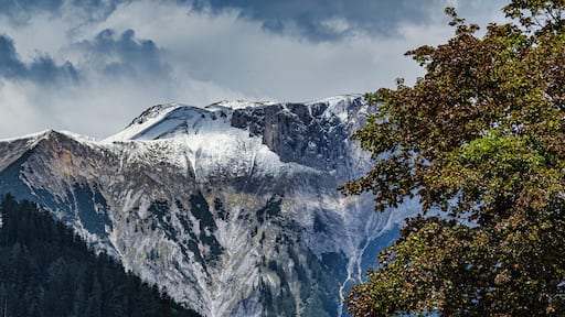 Frühling in der Steiermark Hochschwab Gebiet Thoerl