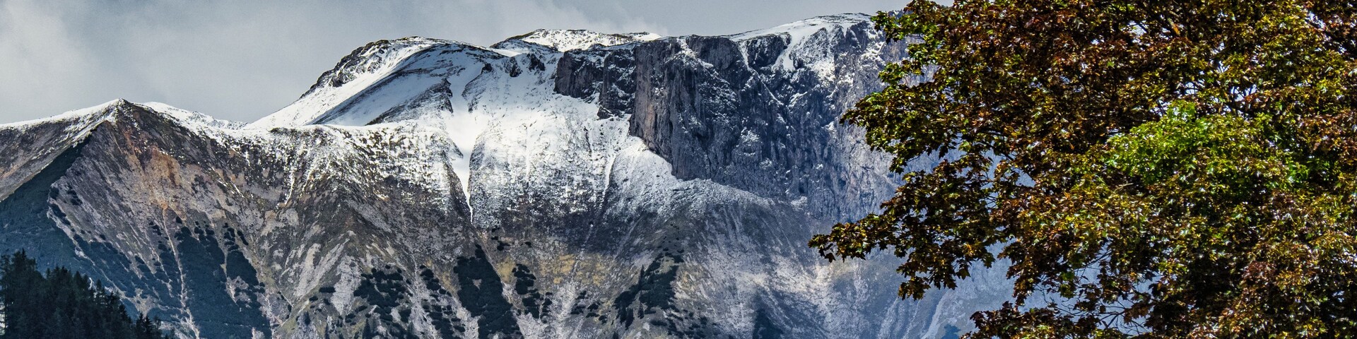 A snow-covered mountain range with a tree in the foreground.
