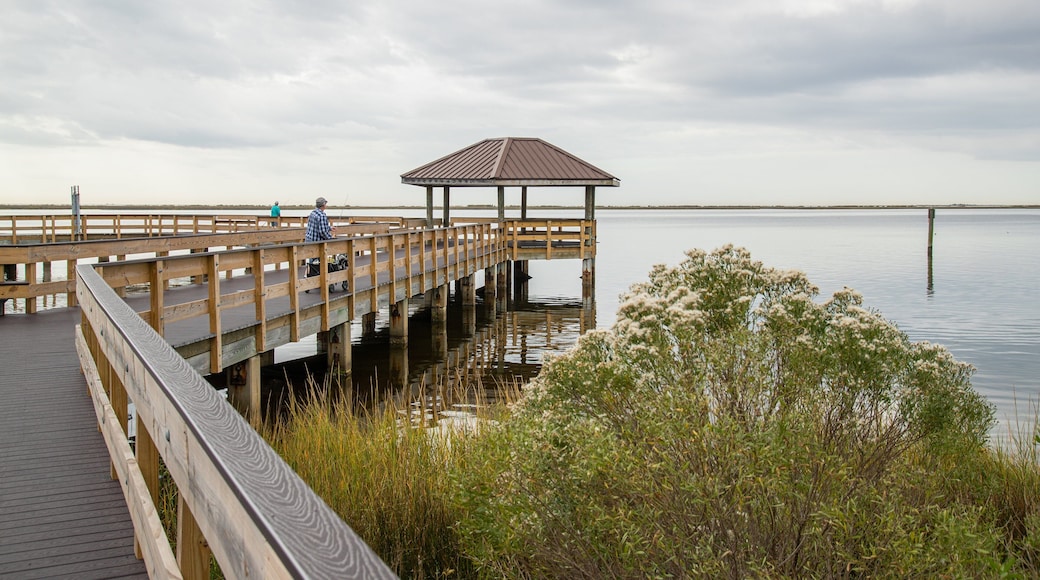 Ocean Springs