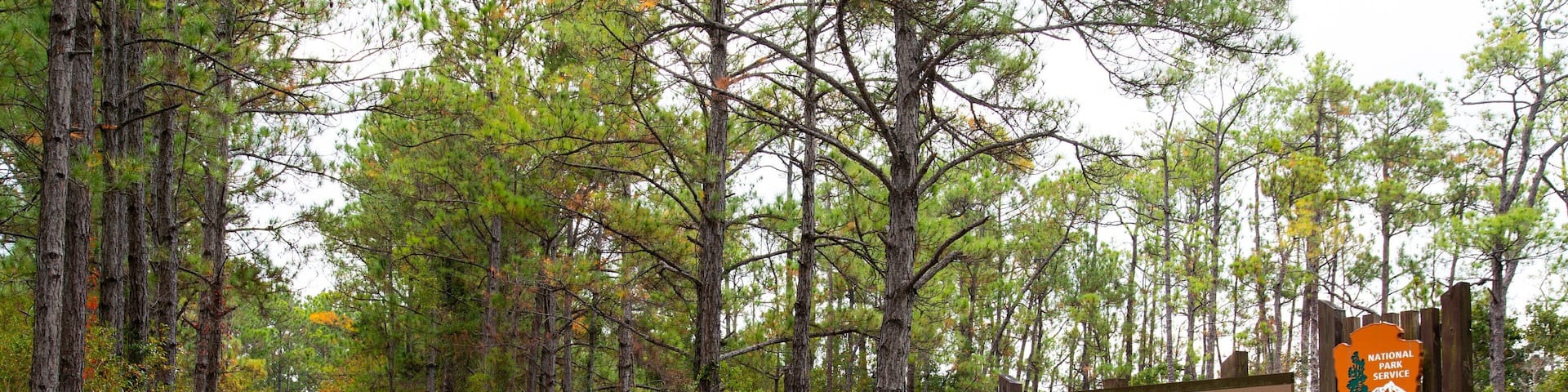 Gulf Islands National Seashore Davis Bayou featuring signage and a pond