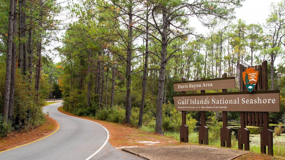 A road curving through a forest with signs for Davis Bayou Area and Gulf Islands National Seashore.