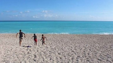 Uma praia de areia com três pessoas caminhando em direção ao oceano.