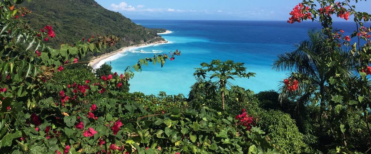 A coastal landscape with a clear blue sea, a sandy beach, and lush greenery.