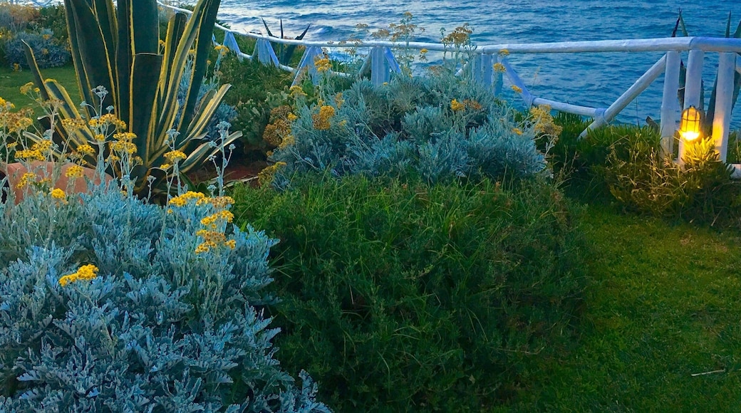 Evening at the Mediterranean Sea, Crete Island
#AquaTrove