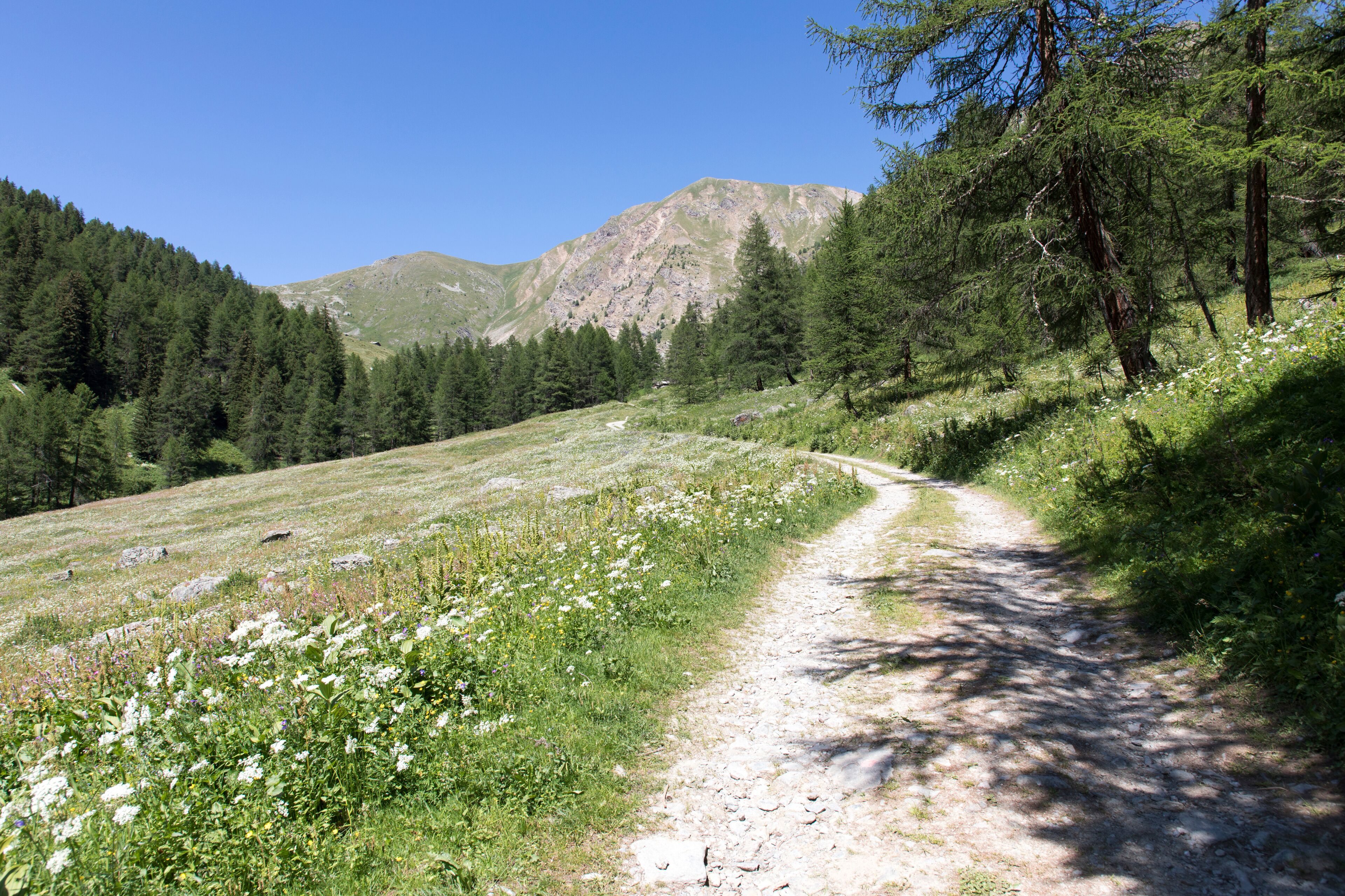 The beautiful landscape in Jovencan