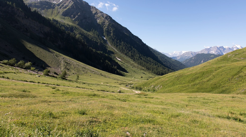 A nice landscape view of Jovencan