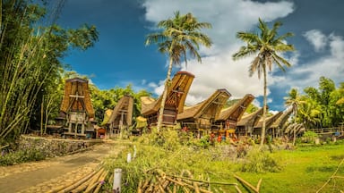 Ancestral houses and greenery