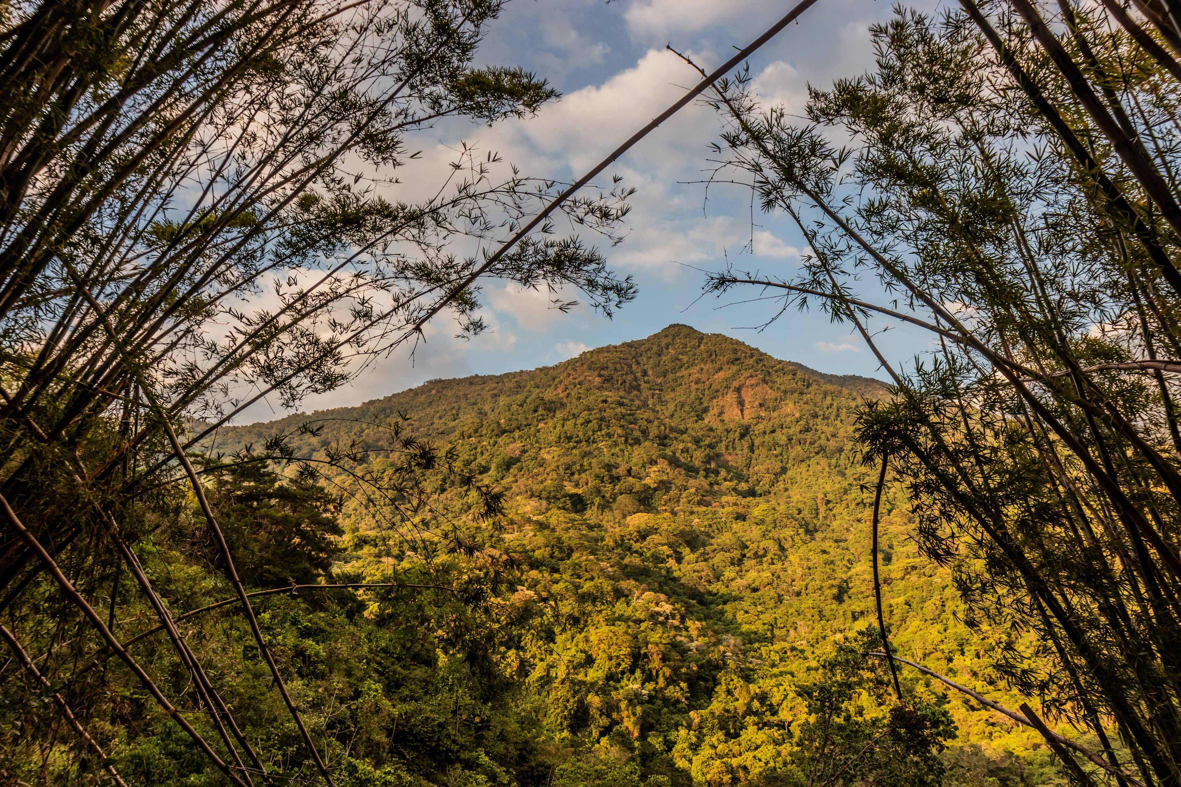 Lush mountains near Minca, Colombia.