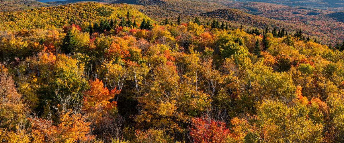 A mountainous landscape with autumn foliage.