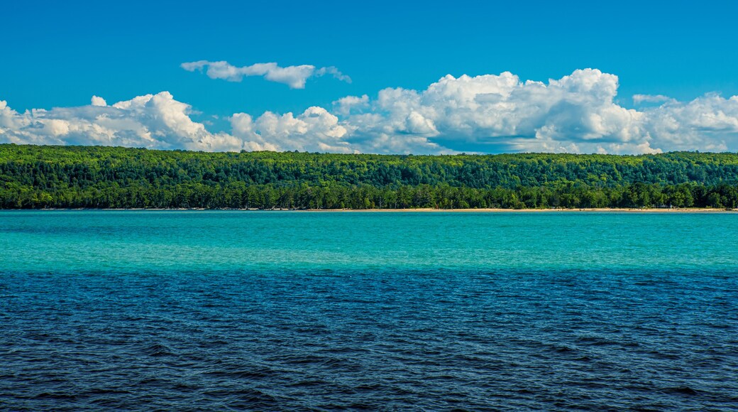 ์ธ์ธํธ ํฌ๋ 