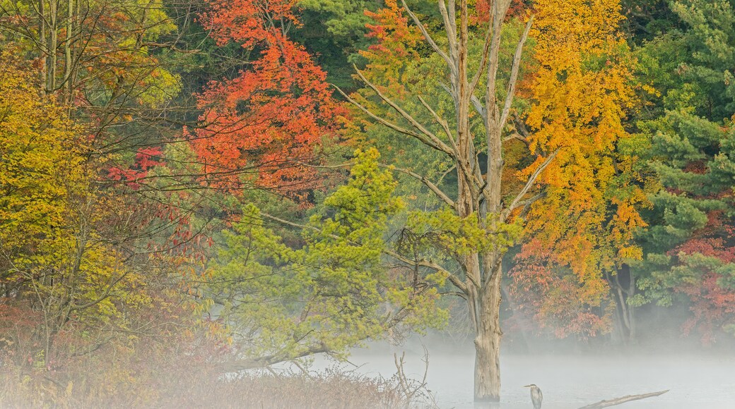 ์ธ์ธํธ ํฌ๋ 