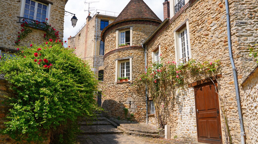 Medieval house with a round tower in Montfort-l'Amaury, a rural village of the French department of Yvelines in Paris region