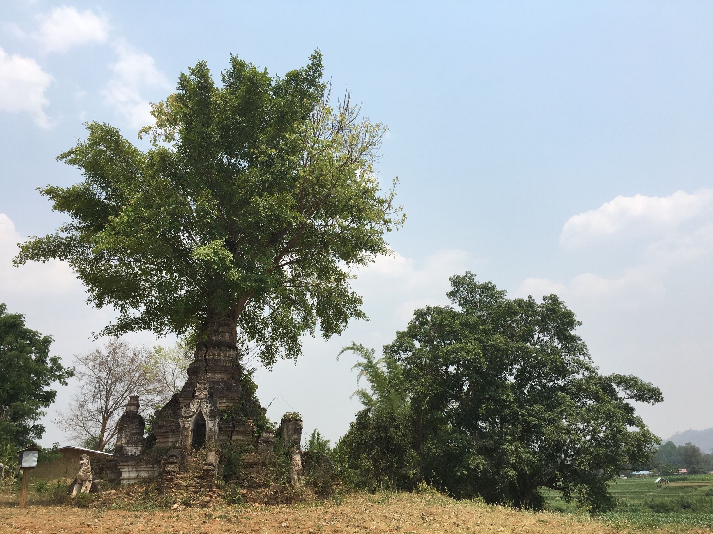 A nice spot just beside popcorn garden, a cute restaurant where you can enjoy a wonderful smoothie! 
