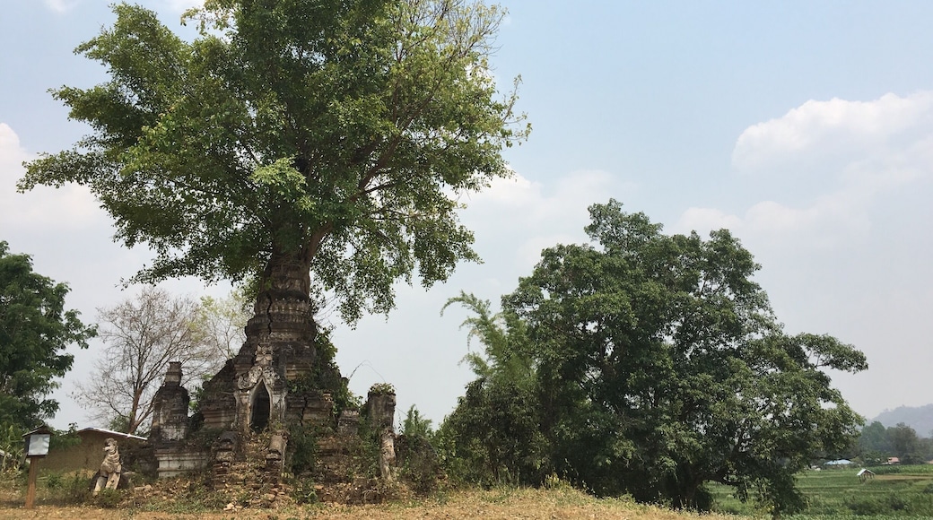 A nice spot just beside popcorn garden, a cute restaurant where you can enjoy a wonderful smoothie!