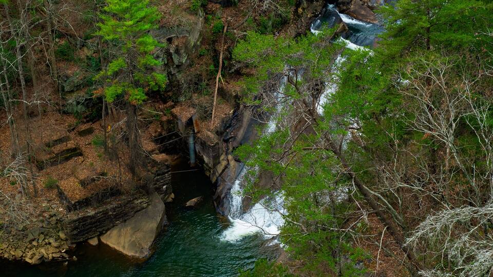 A waterfall cascading over rocks in a forested area.