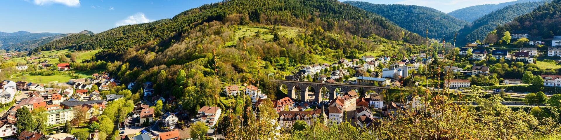 A town nestled in a valley with a prominent bridge and lush green hills in the background.