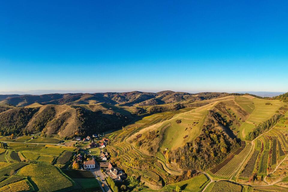 A vineyard landscape with terraced fields and a small village.