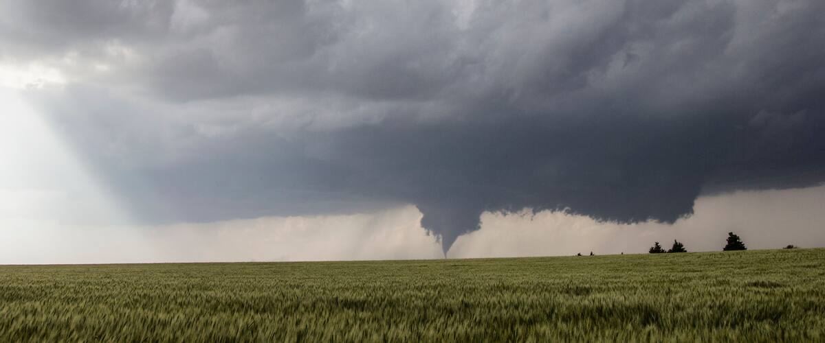 A tornado in a grassy field with dark storm clouds above.