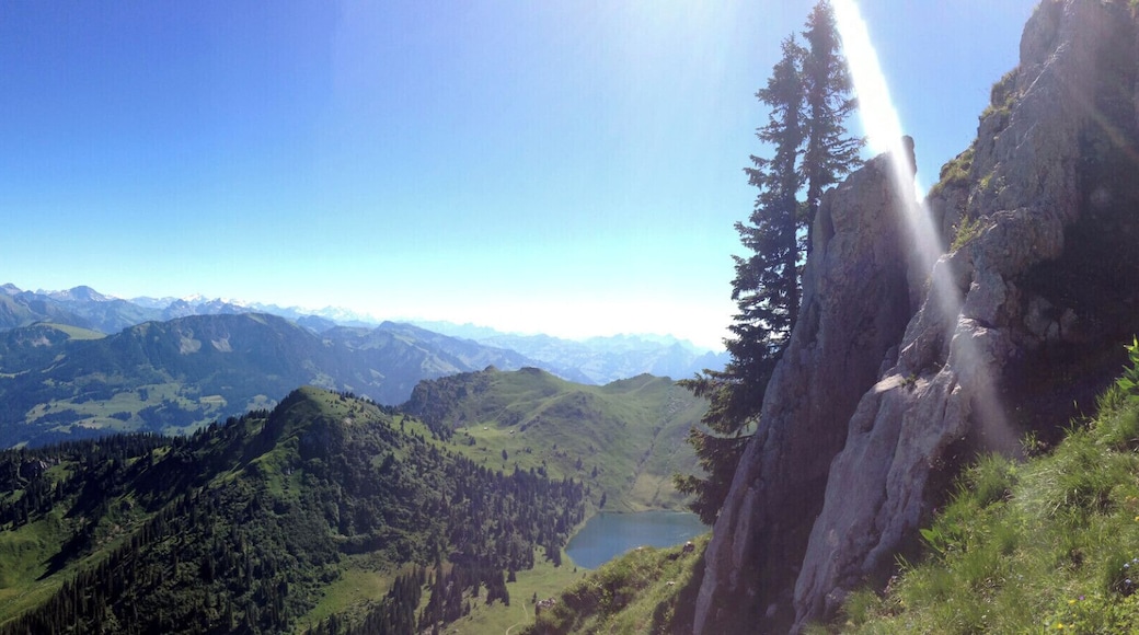 Climbing with a view...