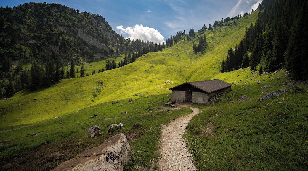 When you walk toward Hinterstockensee lake in Stockhorn, it's very likely that you will pass by this abandoned farmhouse. Idyllic in the scene.